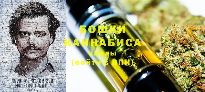 Бошки марихуана SATIVA & INDICA  закладки  Лянтор 